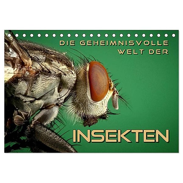 Die geheimnisvolle Welt der Insekten (Tischkalender 2024 DIN A5 quer), CALVENDO Monatskalender, Renate Bleicher