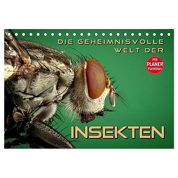Die geheimnisvolle Welt der Insekten (Tischkalender 2024 DIN A5 quer), CALVENDO Monatskalender, Renate Bleicher