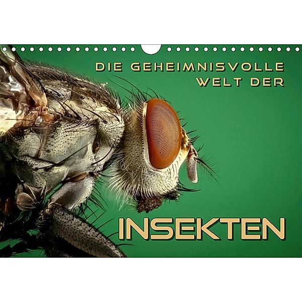 Die geheimnisvolle Welt der Insekten (Wandkalender 2020 DIN A4 quer), Renate Bleicher