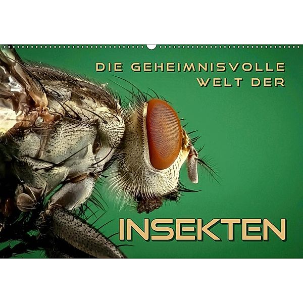 Die geheimnisvolle Welt der Insekten (Wandkalender 2020 DIN A2 quer), Renate Bleicher