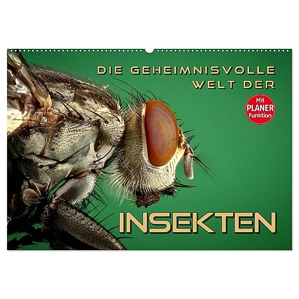 Die geheimnisvolle Welt der Insekten (Wandkalender 2024 DIN A2 quer), CALVENDO Monatskalender, Renate Bleicher