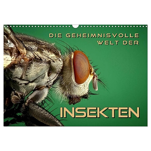 Die geheimnisvolle Welt der Insekten (Wandkalender 2024 DIN A3 quer), CALVENDO Monatskalender, Renate Bleicher