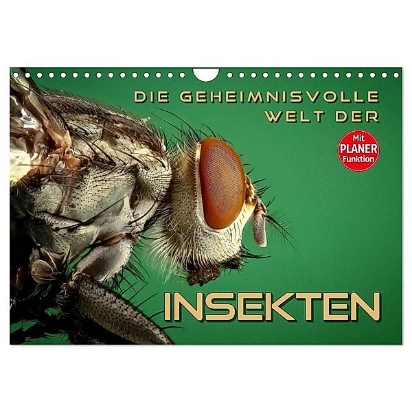 Die geheimnisvolle Welt der Insekten (Wandkalender 2025 DIN A4 quer), CALVENDO Monatskalender, Calvendo, Renate Bleicher