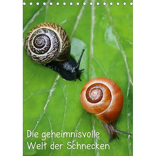 Die geheimnisvolle Welt der Schnecken (Tischkalender 2021 DIN A5 hoch), Kattobello