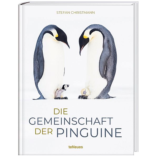 Die Gemeinschaft der Pinguine, Stefan Christmann
