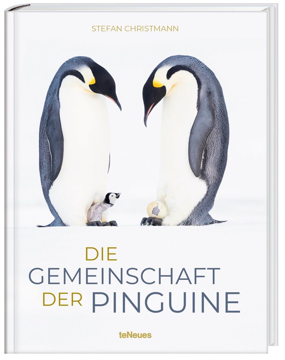 Die Gemeinschaft der Pinguine Buch bei  bestellen