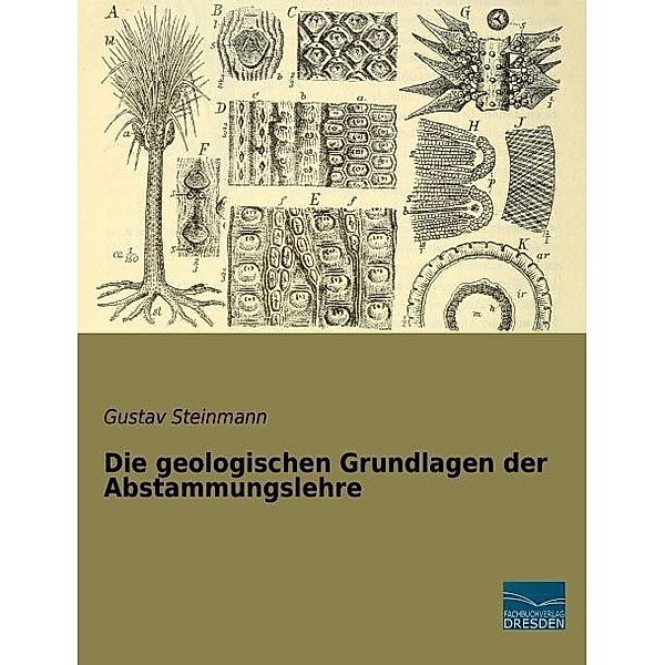 Die geologischen Grundlagen der Abstammungslehre, Gustav Steinmann