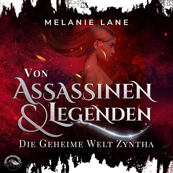 Die Geschichte der Anderswelt - 3 - Von Assassinen und Legenden, Melanie Lane