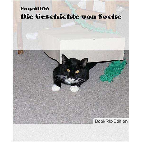 Die Geschichte von Socke, Engel1000