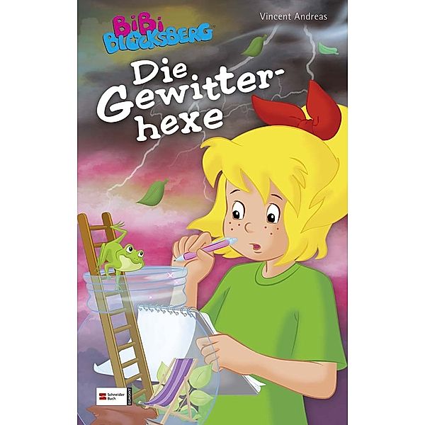 Die Gewitterhexe / Bibi Blocksberg Sonderband Bd.7, Vincent Andreas