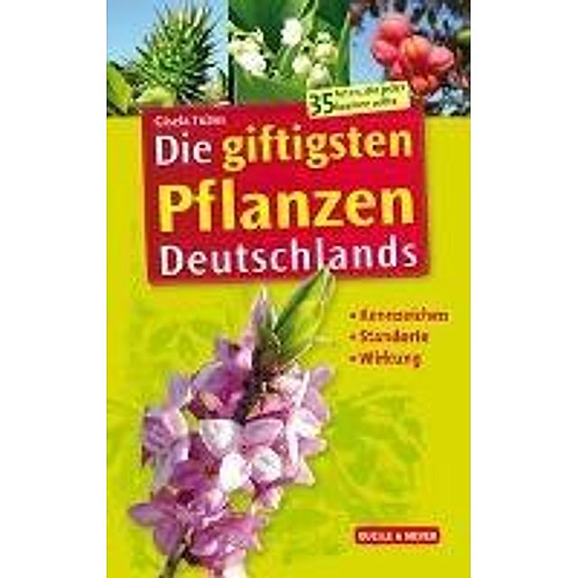Die giftigsten Pflanzen Deutschlands Buch versandkostenfrei - Weltbild.de