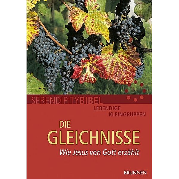 Die Gleichnisse, Serendipity bibel