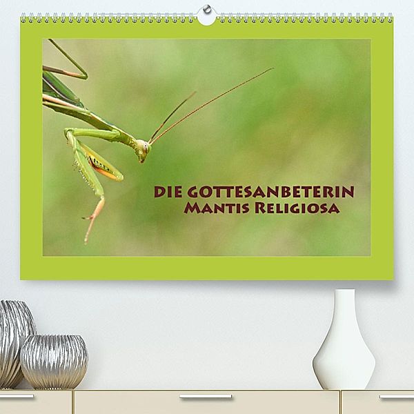 Die Gottesanbeterin Mantis Religiosa (Premium, hochwertiger DIN A2 Wandkalender 2023, Kunstdruck in Hochglanz), Gugigei