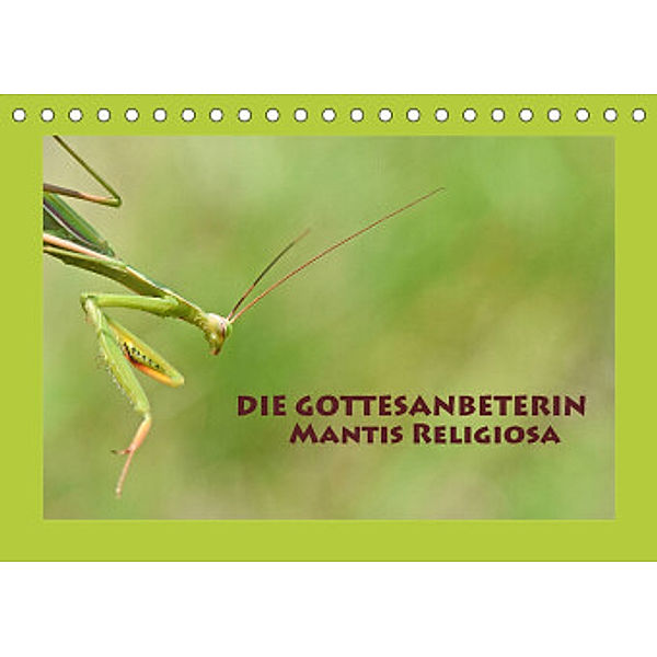 Die Gottesanbeterin Mantis Religiosa (Tischkalender 2022 DIN A5 quer), GUGIGEI