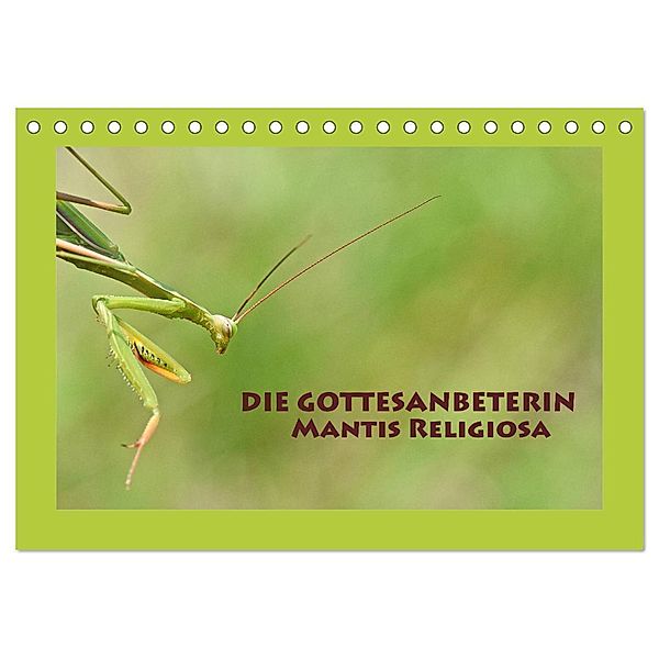 Die Gottesanbeterin Mantis Religiosa (Tischkalender 2024 DIN A5 quer), CALVENDO Monatskalender, Gugigei