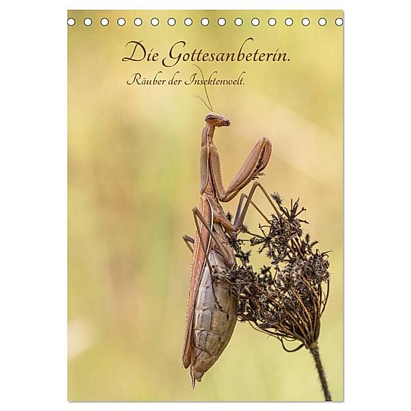 Die Gottesanbeterin. Räuber der Insektenwelt. (Tischkalender 2024 DIN A5 hoch), CALVENDO Monatskalender, Juehust