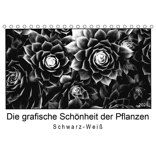 Die grafische Schönheit der Pflanzen - Schwarz-Weiß (Tischkalender 2021 DIN A5 quer), Beate Wurster