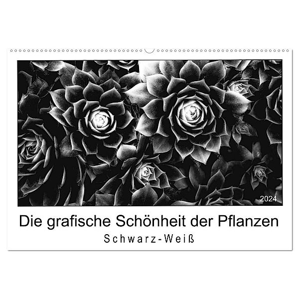 Die grafische Schönheit der Pflanzen - Schwarz-Weiss (Wandkalender 2024 DIN A2 quer), CALVENDO Monatskalender, Beate Wurster
