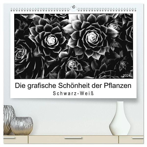 Die grafische Schönheit der Pflanzen - Schwarz-Weiß (hochwertiger Premium Wandkalender 2024 DIN A2 quer), Kunstdruck in Hochglanz, Beate Wurster