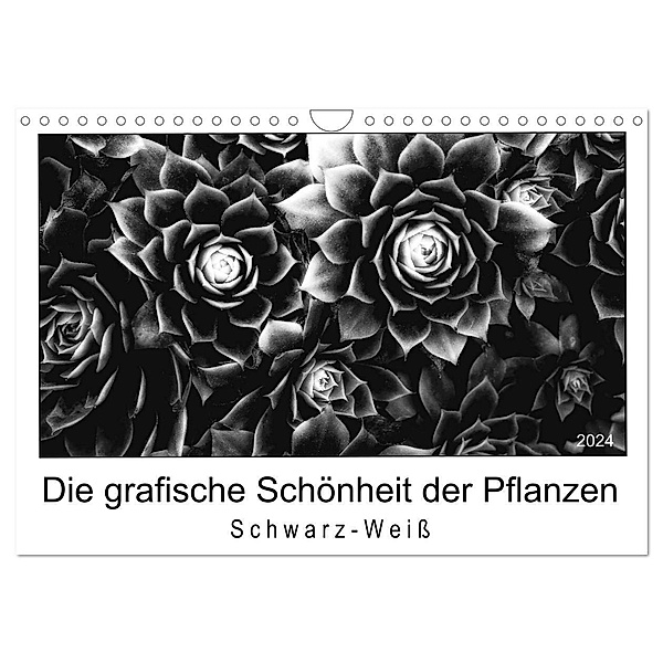 Die grafische Schönheit der Pflanzen - Schwarz-Weiss (Wandkalender 2024 DIN A4 quer), CALVENDO Monatskalender, Beate Wurster
