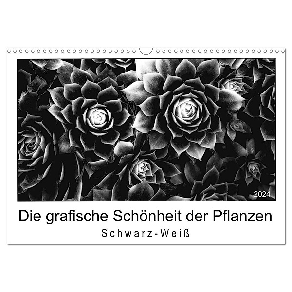 Die grafische Schönheit der Pflanzen - Schwarz-Weiss (Wandkalender 2024 DIN A3 quer), CALVENDO Monatskalender, Beate Wurster