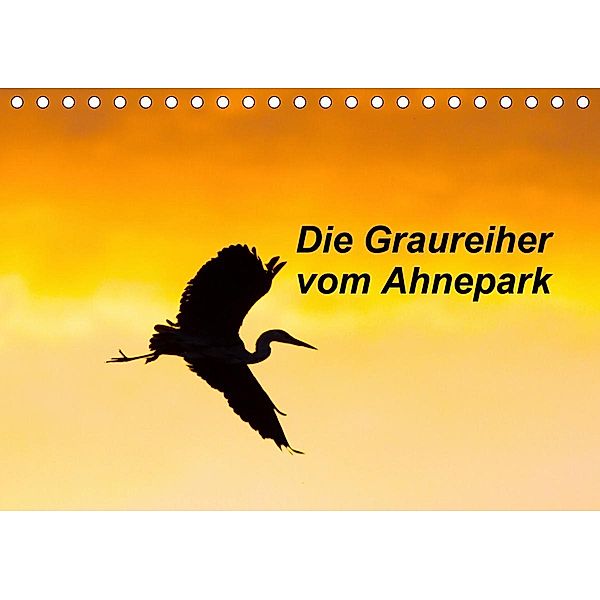 Die Graureiher vom Ahnepark (Tischkalender 2020 DIN A5 quer), Wilfried Martin