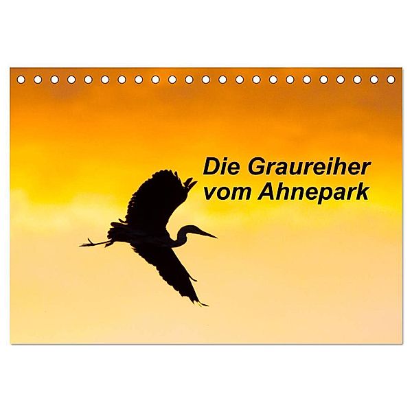 Die Graureiher vom Ahnepark (Tischkalender 2024 DIN A5 quer), CALVENDO Monatskalender, Wilfried Martin
