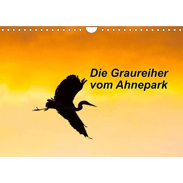 Die Graureiher vom Ahnepark (Wandkalender 2023 DIN A4 quer), Wilfried Martin