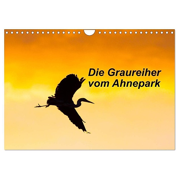 Die Graureiher vom Ahnepark (Wandkalender 2024 DIN A4 quer), CALVENDO Monatskalender, Wilfried Martin