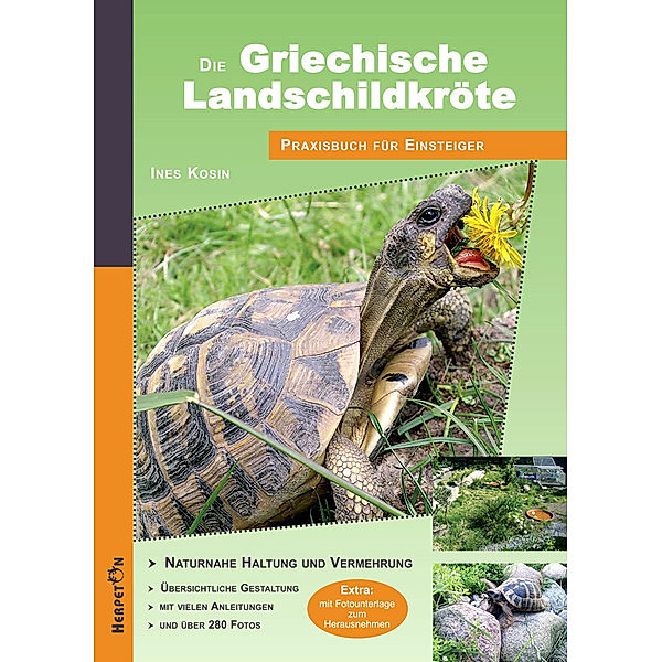 Die Griechische Landschildkröte, Ines Kosin