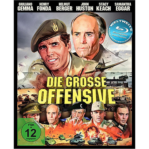 Die grosse Offensive