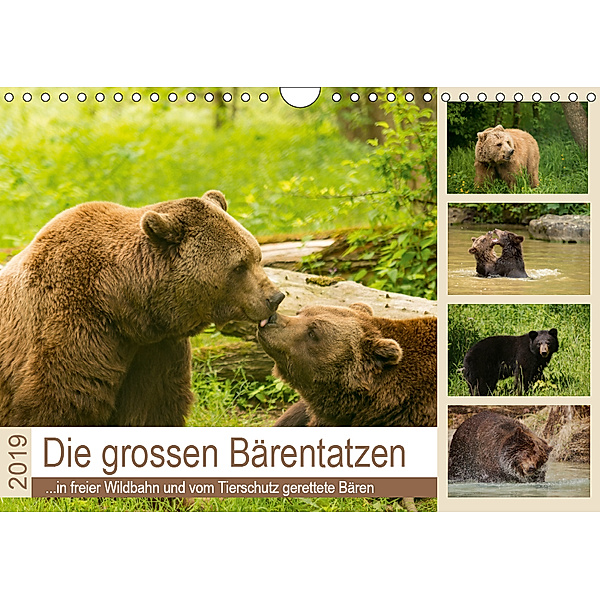 Die grossen Bärentatzen (Wandkalender 2019 DIN A4 quer), Photo4emotion. com