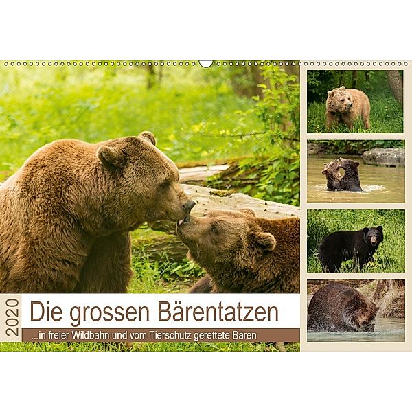 Die grossen Bärentatzen (Wandkalender 2020 DIN A2 quer)