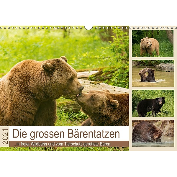 Die grossen Bärentatzen (Wandkalender 2021 DIN A3 quer), Photo4emotion.com