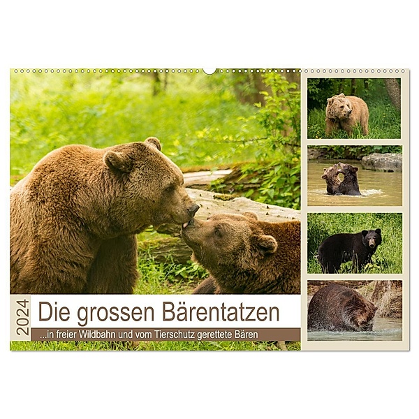 Die grossen Bärentatzen (Wandkalender 2024 DIN A2 quer), CALVENDO Monatskalender, Photo4emotion.com