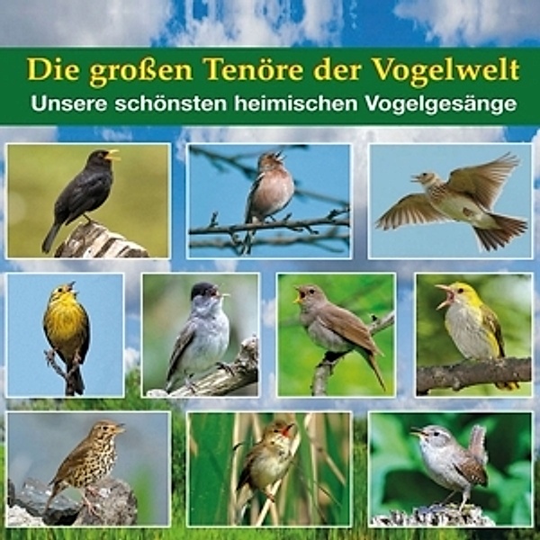 Die Großen Tenöre Der Vogelwelt, Karl-Heinz Dingler