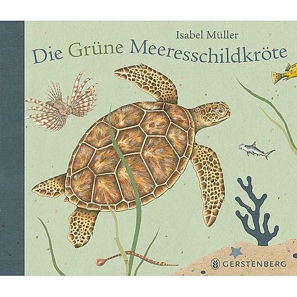 Die Grüne Meeresschildkröte, Isabel Müller