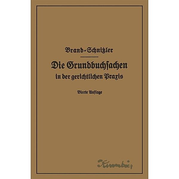 Die Grundbuchsachen in der gerichtlichen Praxis einschließlich Aufwertung der Grundstückspfandrechte, Arthur Brand, Leo Schnitzler