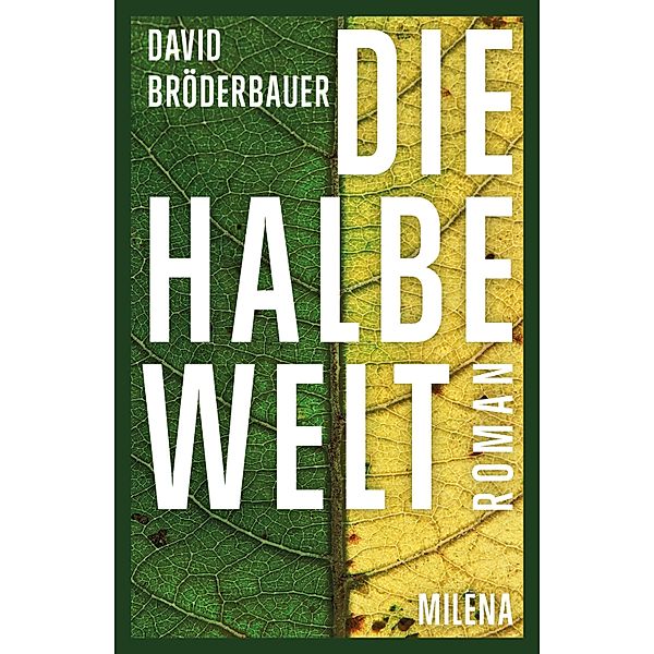Die Halbe Welt, David Bröderbauer