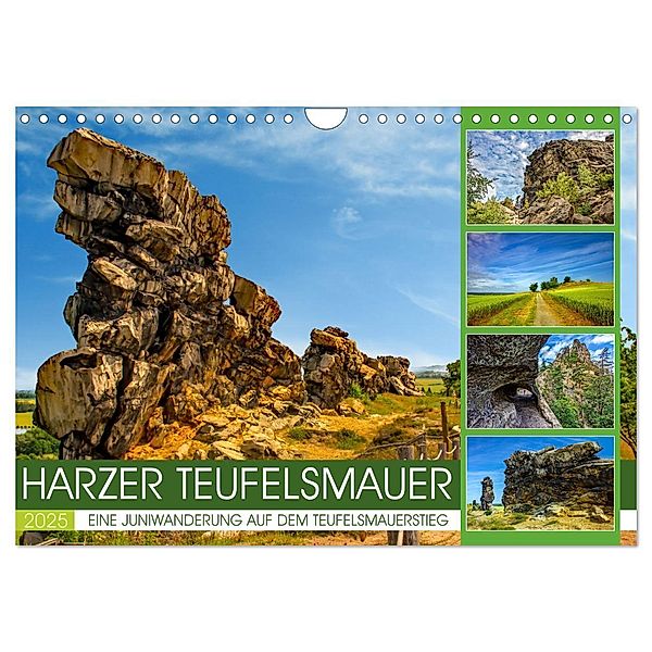 Die Harzer Teufelsmauer - Eine Juniwanderung auf dem Teufelsmauerstieg (Wandkalender 2025 DIN A4 quer), CALVENDO Monatskalender, Calvendo, Holger Felix