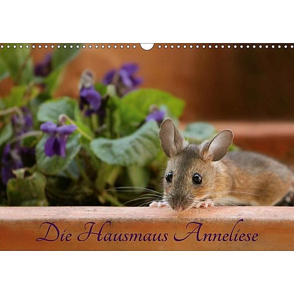 Die Hausmaus Anneliese (Wandkalender 2020 DIN A3 quer), Heike Hultsch