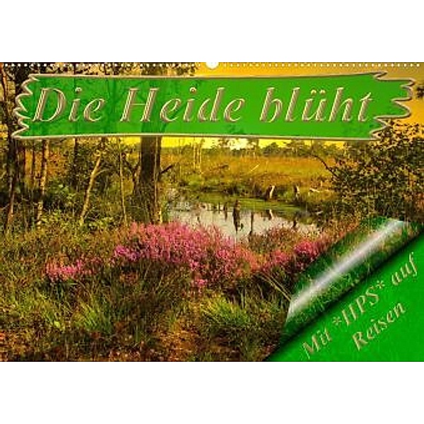 Die Heide blüht (Premium, hochwertiger DIN A2 Wandkalender 2022, Kunstdruck in Hochglanz), Heinz-Peter Schwerin
