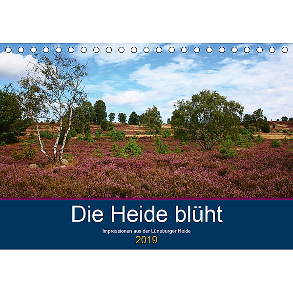 Die Heide blüht (Tischkalender 2019 DIN A5 quer), Brigitte Dürr