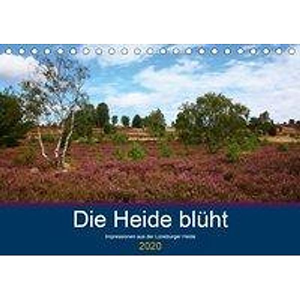 Die Heide blüht (Tischkalender 2020 DIN A5 quer), Brigitte Dürr