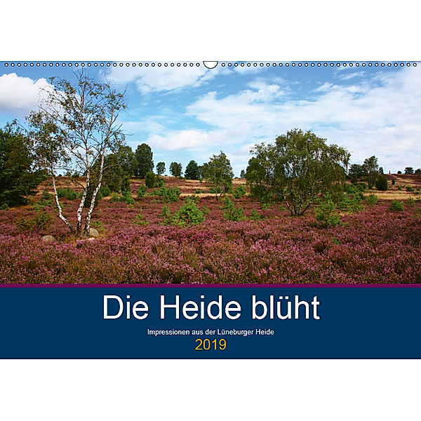 Die Heide blüht (Wandkalender 2019 DIN A2 quer), Brigitte Dürr