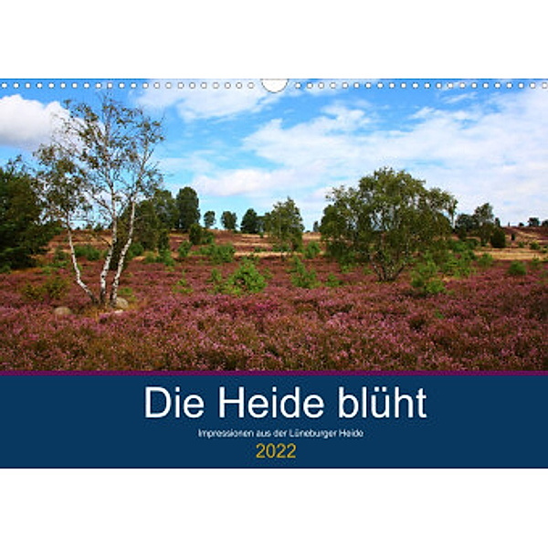 Die Heide blüht (Wandkalender 2022 DIN A3 quer), Brigitte Dürr