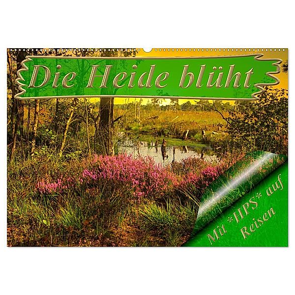 Die Heide blüht (Wandkalender 2024 DIN A2 quer), CALVENDO Monatskalender, Heinz-Peter Schwerin