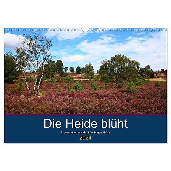 Die Heide blüht (Wandkalender 2024 DIN A3 quer), CALVENDO Monatskalender, Brigitte Dürr