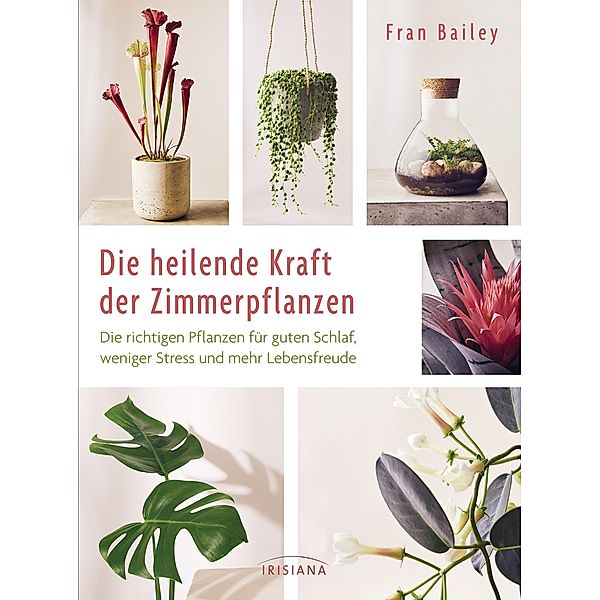 Die heilende Kraft der Zimmerpflanzen, Fran Bailey