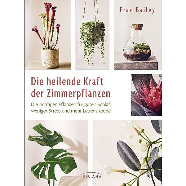 Die heilende Kraft der Zimmerpflanzen, Fran Bailey